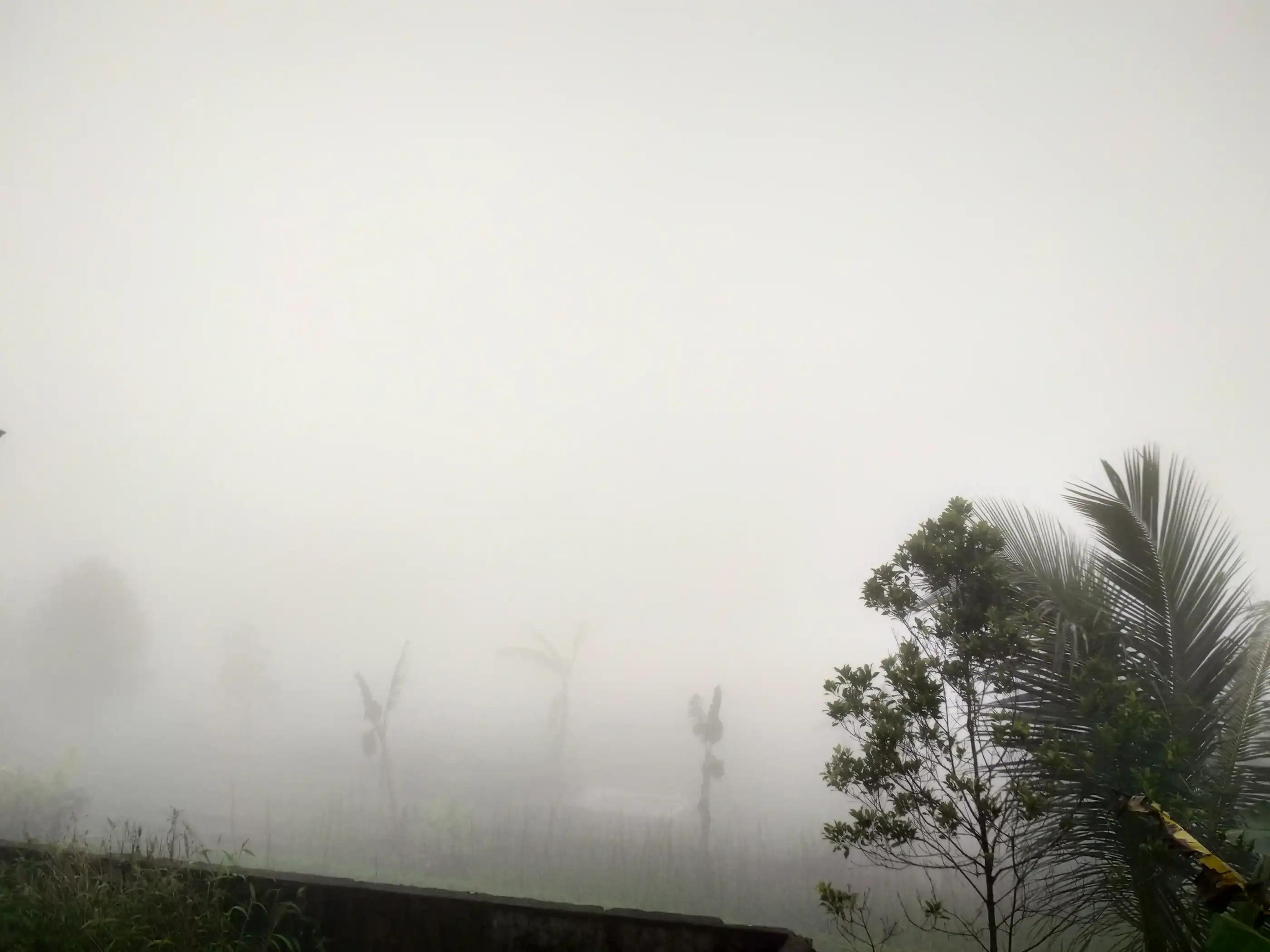 Situ Cipanten Majalengka