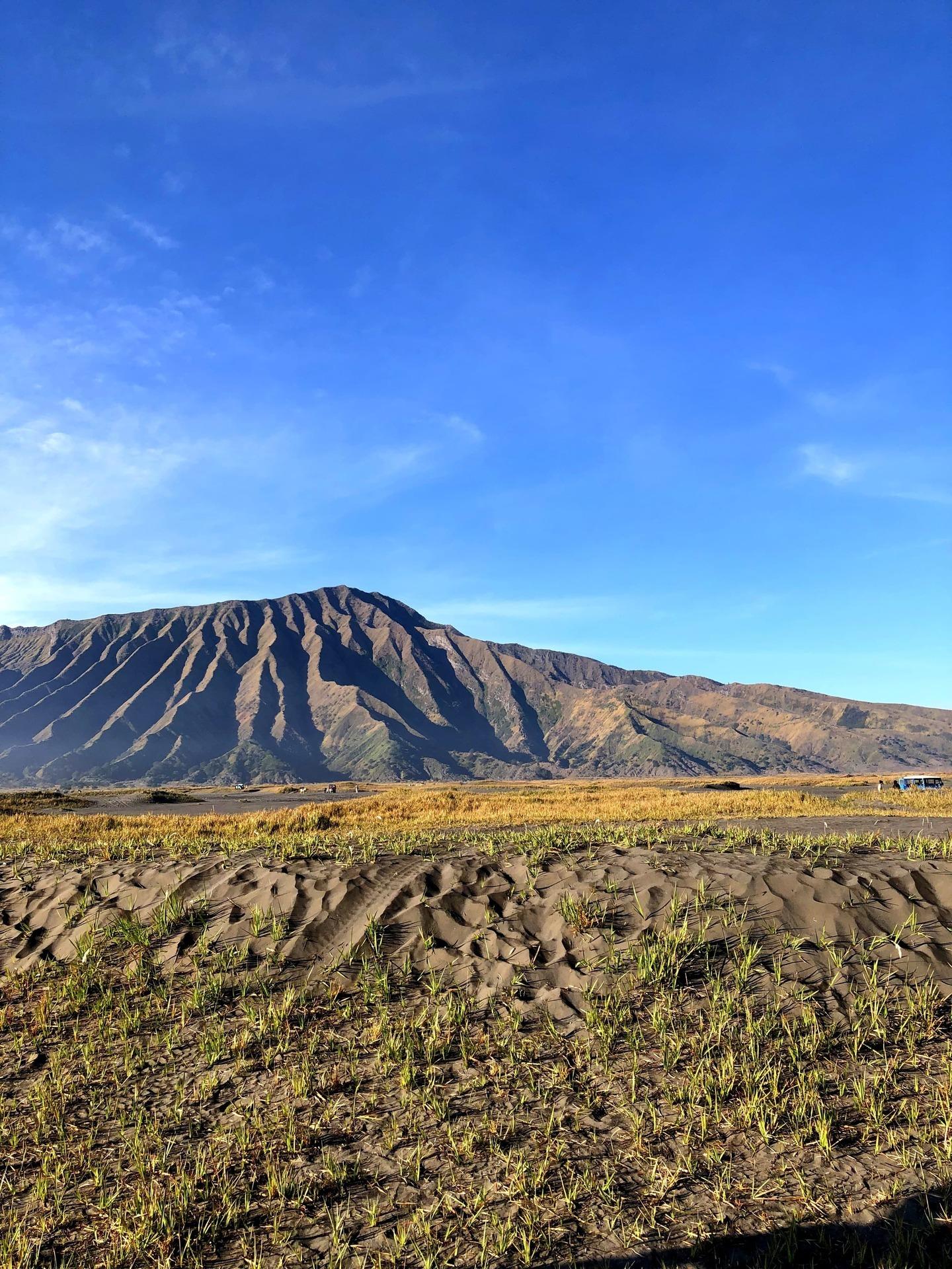 Savana bromo